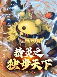 精灵宝可梦之登神长街 精灵宝可梦之登神长街